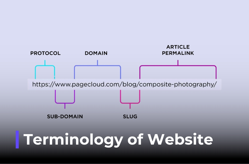 Terminology for Web Design: Languages for Website You Should Know - CanhCam