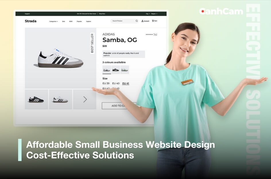 Why You Need Affordable Website Design for Your Small Business?