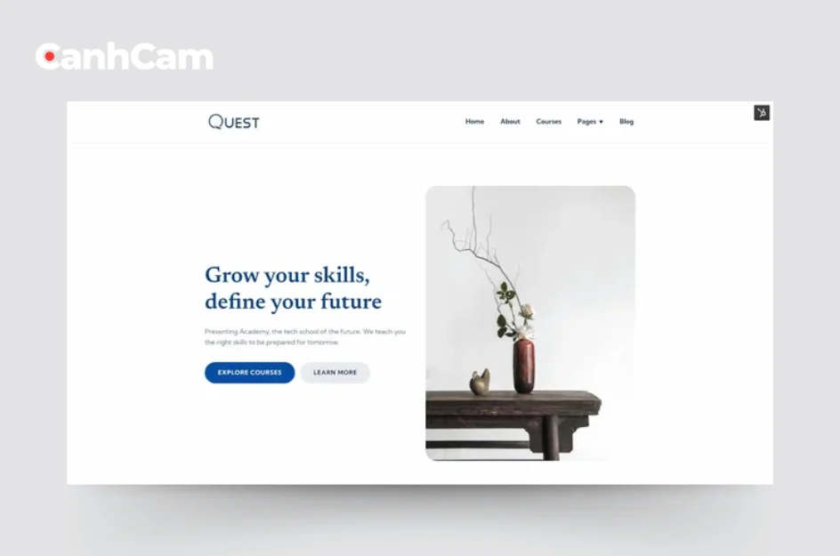 website design and web development 
