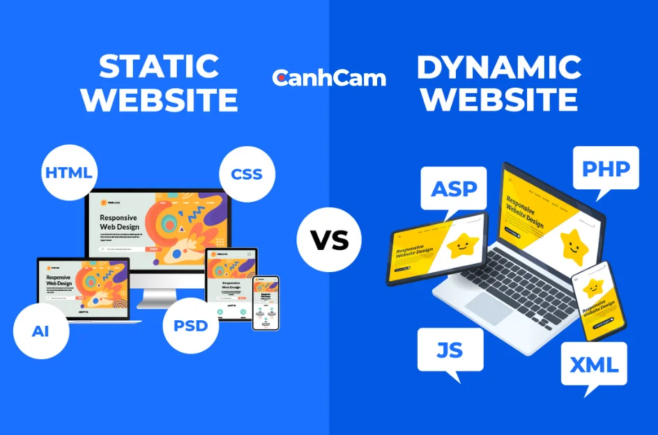 What is a Dynamic Website Design? A Journey into Knowledge and Building